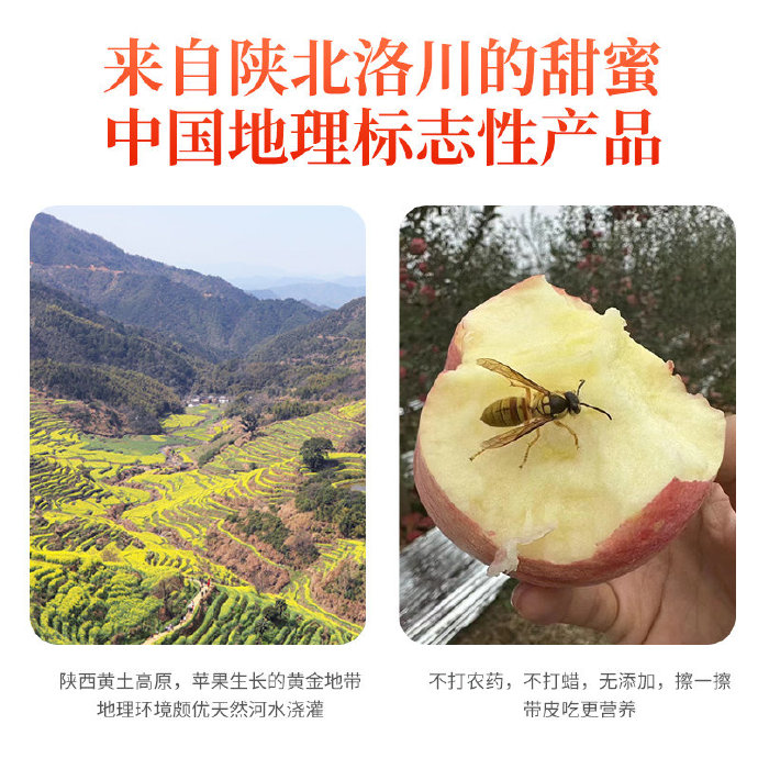 陕西美食淘宝苹果版陕西省美食选哪个平台-第2张图片-太平洋在线下载