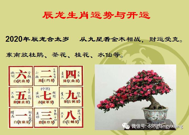 龙腾运势苹果版龙腾烈火传奇手游